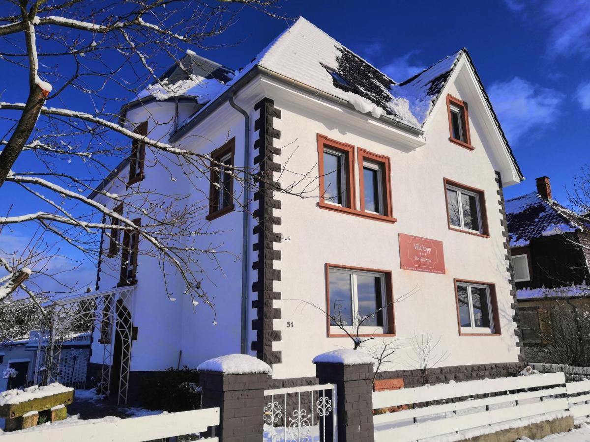 Villa Kopp-Das Gaestehaus Hopfingen Екстериор снимка